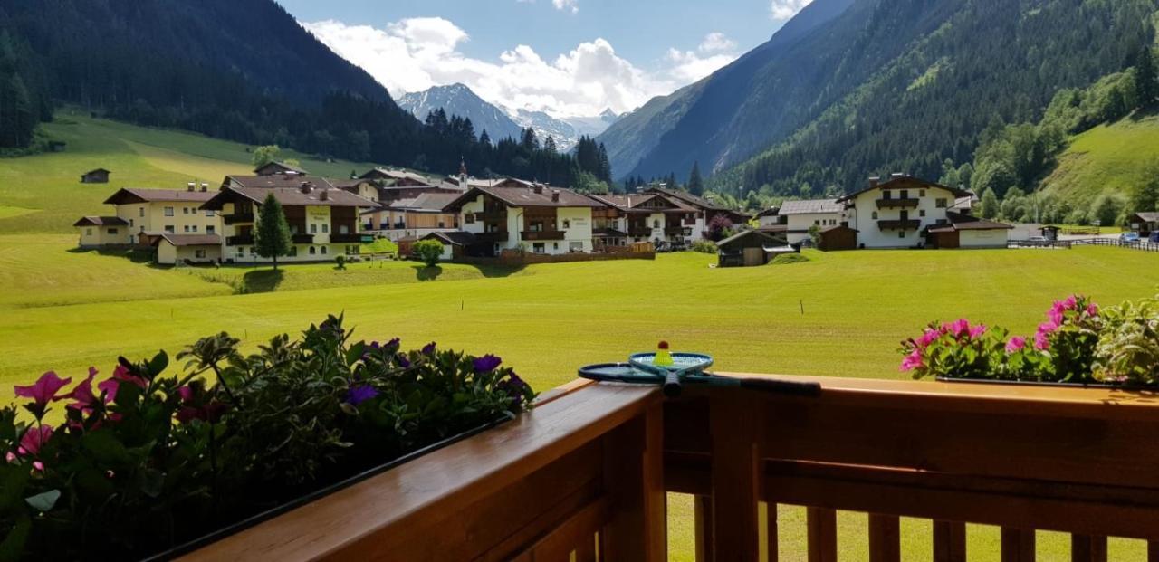 Haus Blickfang Lägenhet Neustift im Stubaital Exteriör bild